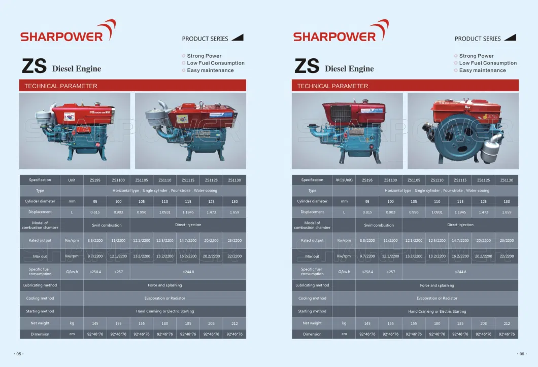 Zs195 Zs195n/M Changfa Brand 12HP Single Cylinder Four Stroke Directly Injection Type Hand Starting Diesel Engine