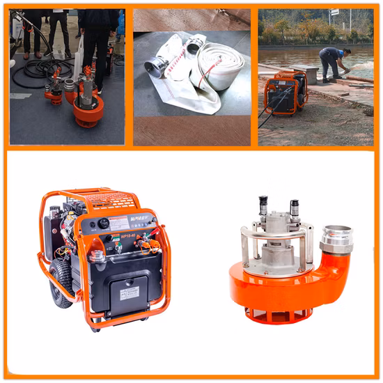 4 Inch High Head Portable Hydraulic Slurry Pump Submersible Pump on Sale